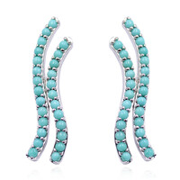 Pendientes en plata con Turquesa de Kingman (Anne Bever)