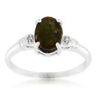 Anillo en plata con Ammolita