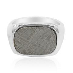 Anillo en plata con Meteorito metálico