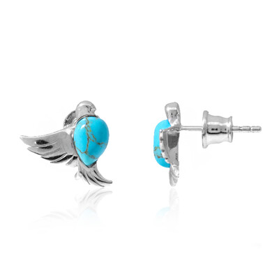 Pendientes en plata con Turquesa (dagen)