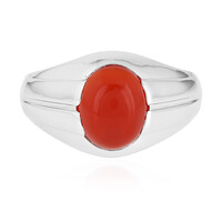 Anillo de hombre en plata con Ónix rojo