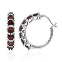 Pendientes en plata con Granate