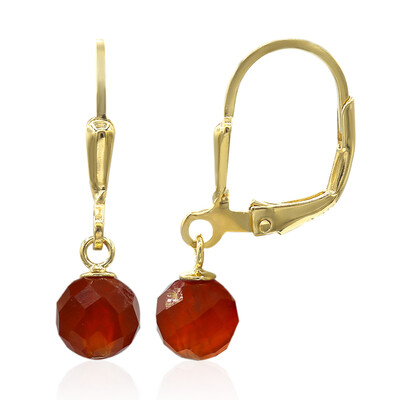 Pendientes en plata con Ónix rojo