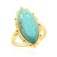 Anillo en plata con Turquesa de la mina 8 (Anne Bever)