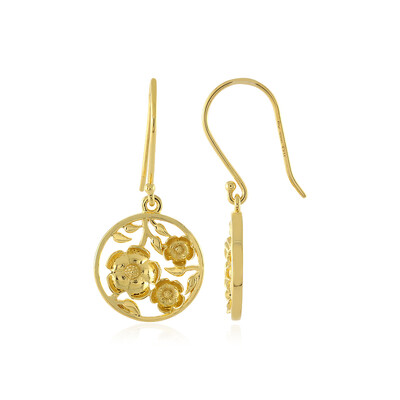Pendientes en plata