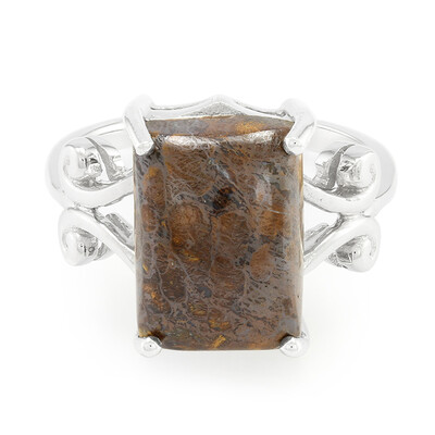 Anillo en plata con Cuarzo Dinosaurio