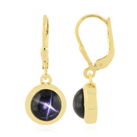 Pendientes en plata con Diópsido estrella de la India