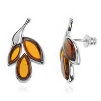 Pendientes en plata con Ámbar báltico