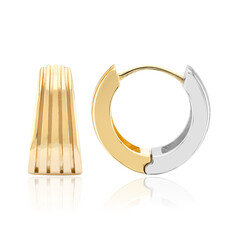 Pendientes en plata