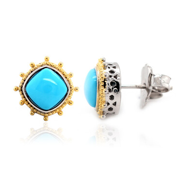 Pendientes en plata con Turquesa bella durmiente (Dallas Prince Designs)