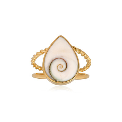 Anillo en plata con Ojo de Shiva (Bali Barong)