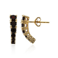 Pendientes en plata con Granate