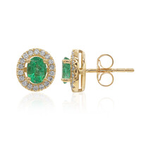 Pendientes en oro con Esmeralda de Zambia AAA