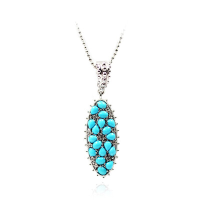 Collar en plata con Turquesa bella durmiente (Dallas Prince Designs)