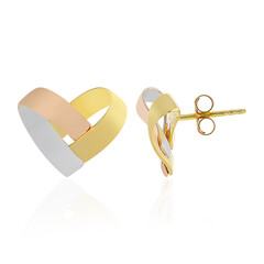 Pendientes en plata