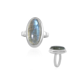 Anillo en plata con Labradorita