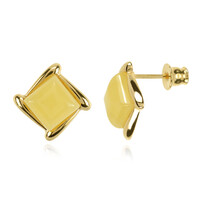 Pendientes en plata con Ámbar báltico