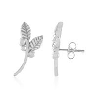 Pendientes en plata