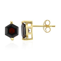 Pendientes en plata con Granate