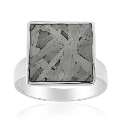 Anillo en plata con Meteorito Aletai