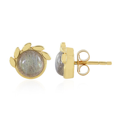 Pendientes en plata con Labradorita