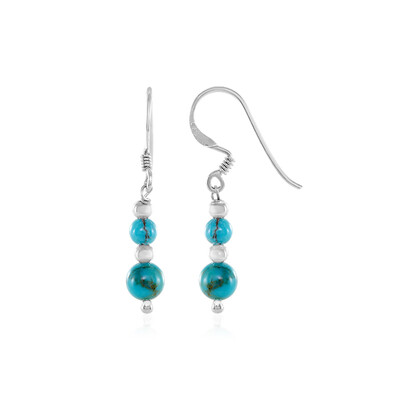 Pendientes en plata con Turquesa
