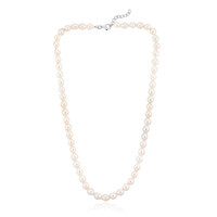 Collar en plata con Perla blanca Freshwater (TPC)