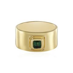 Anillo en plata con Turmalina verde Benedito(Adela Silber)
