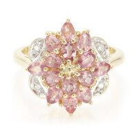Anillo en oro con Zafiro Padparascha no calentado (AMAYANI)