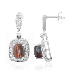 Pendientes en plata con Ojo de tigre rojo
