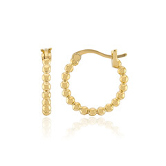 Pendientes en plata