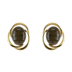Pendientes en plata con Madera de palma petrificada