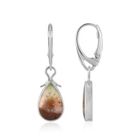 Pendientes en plata con Ópalo de madera de Garut (Bali Barong)