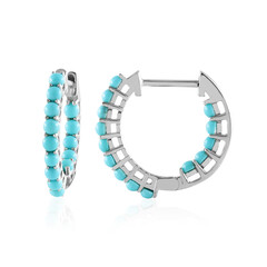 Pendientes en plata con Turquesa bella durmiente