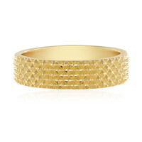 Anillo en plata