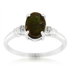 Anillo en plata con Ammolita