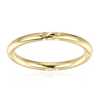 Anillo en plata