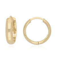 Pendientes en plata
