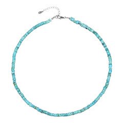 Collar en plata con Turquesa