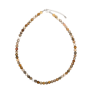 Collar en plata con Piedra petoskey