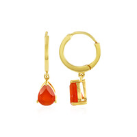 Pendientes en plata con Ónix rojo