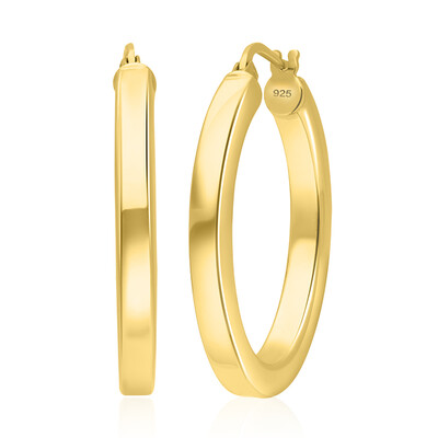 Pendientes en plata