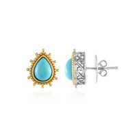 Pendientes en plata con Turquesa bella durmiente (Dallas Prince Designs)