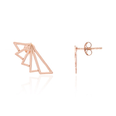 Pendientes en plata (Joias do Paraíso)