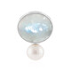 Colgante en plata con Piedra de Luna arcoíris (MONOSONO COLLECTION)