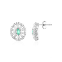 Pendientes en plata con Esmeralda de Colombia