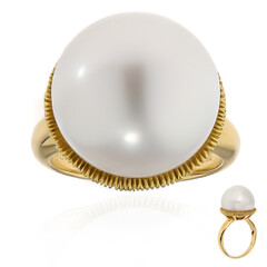 Anillo en oro con Perla blanca del mar del sur (Michelle Albala)