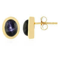 Pendientes en plata con Diópsido estrella de la India
