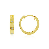 Pendientes en plata con Diamante PK (J)