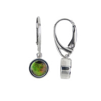 Pendientes en plata con Ammolita